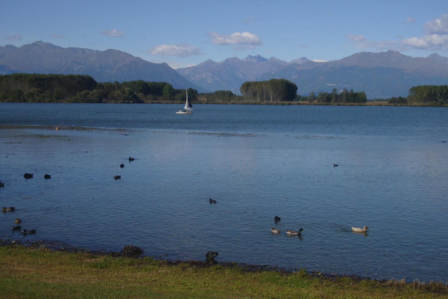 Residenza Del Lago Candia Canavese Luaran gambar